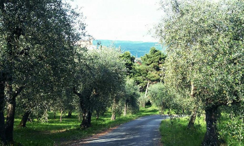 Podere Gianpaolo Pescia Buitenkant foto