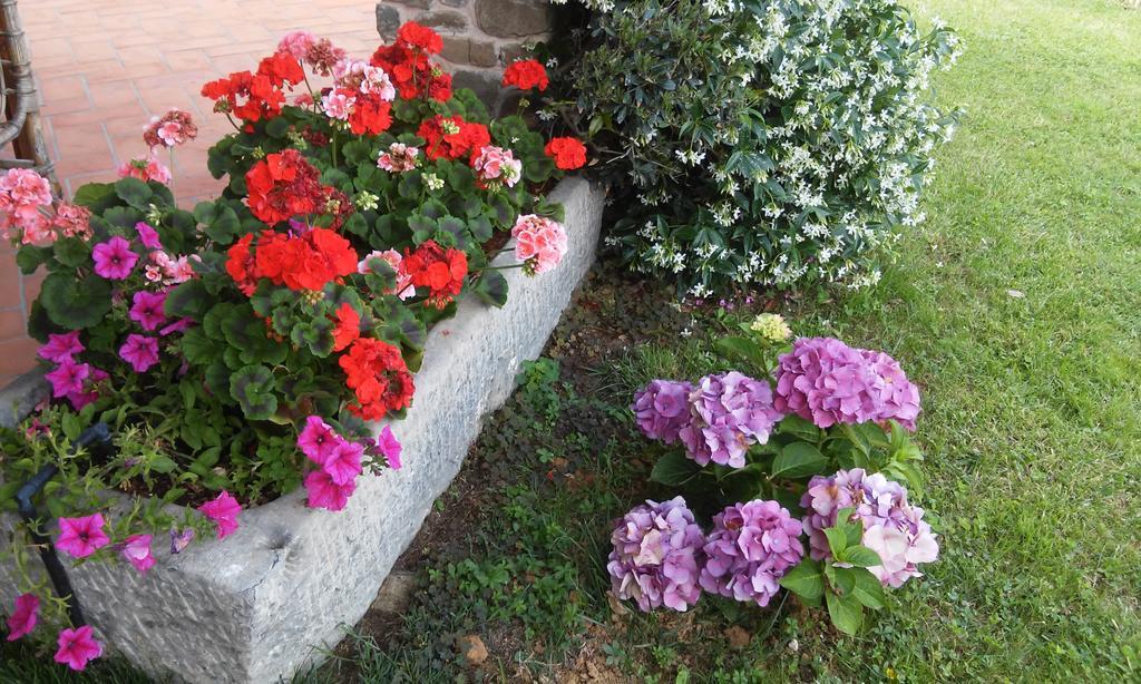 Podere Gianpaolo Pescia Buitenkant foto